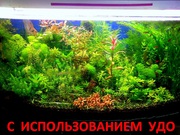 Удобрения(микро,  макро,  калий,  железо) удо для аквариумных растений -