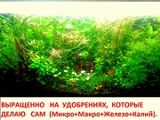 Удобрения(микро,  макро,  калий,  железо) для аквариумных растений==
